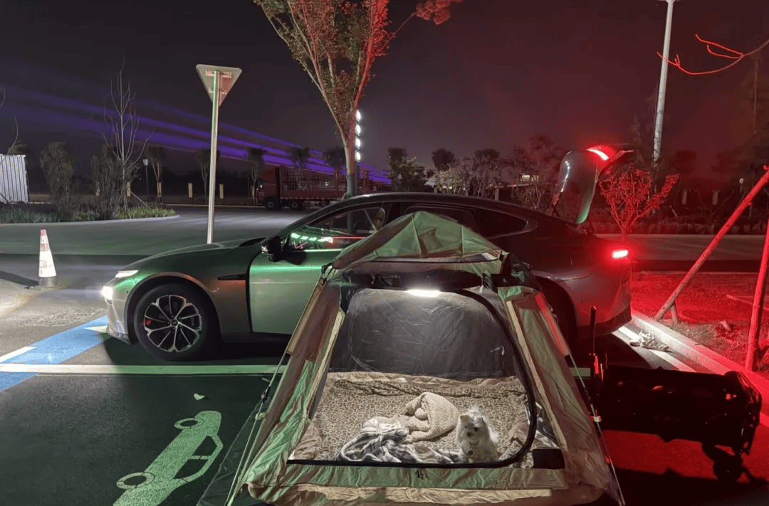 期间年轻人旅行掀起“帐篷过夜”热潮瓦力棋牌游戏不住酒店住帐篷！国庆(图2)